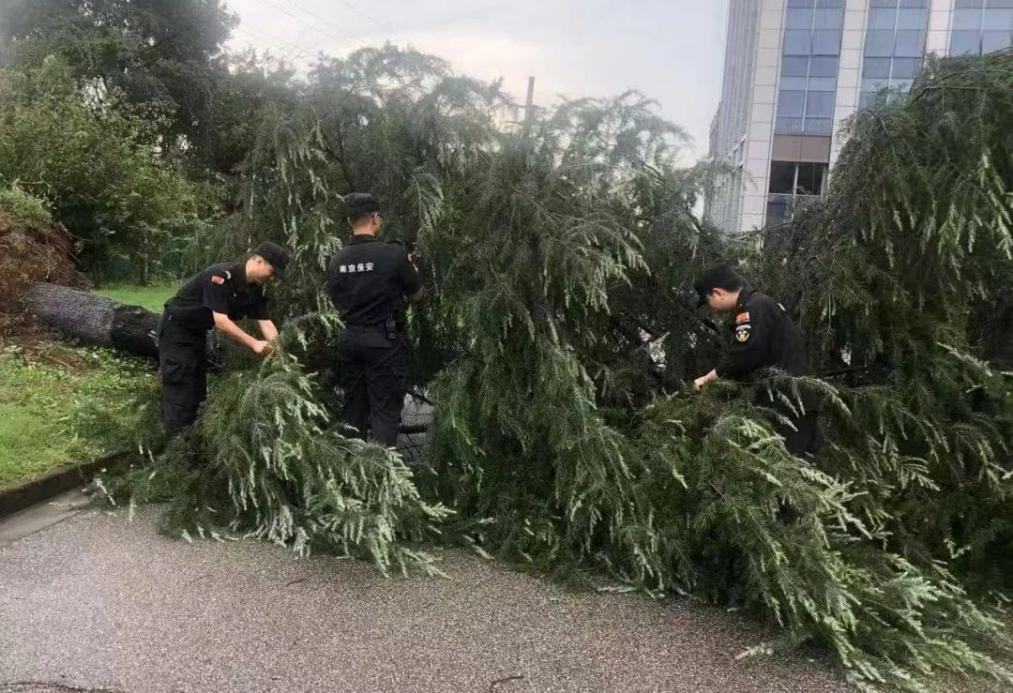 C:/Users/BA/Desktop/風(fēng)雨過后南京保安迅速行動(dòng)，恢復(fù)安“寧”面貌/1.jpg1